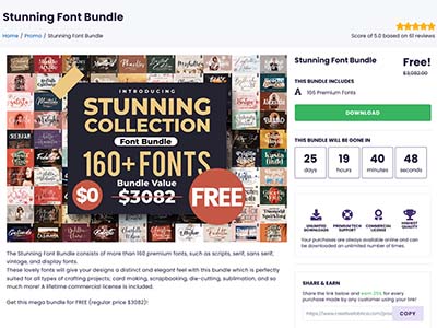 免费白嫖领取 – 价格$3082 – 166种优质可商用的艺术英文字体捆绑包 – Stunning Font Bundle